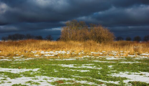 Maltempo, danni per 20 miliardi ai campi: servono nuove strategie per l&rsquo;acqua