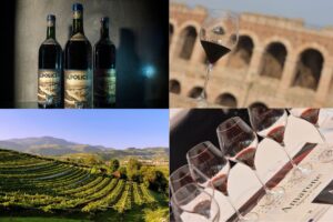L&rsquo;Amarone della Valpolicella, tra economia, stile, e un documento che riscrive la storia