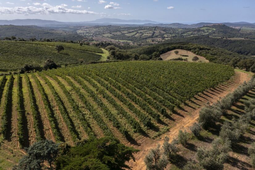 Morellino di Scansano Docg: la menzione Superiore è definitiva