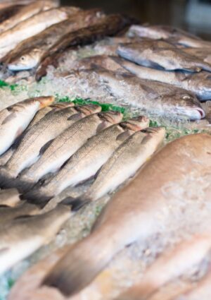 Filiera ittica, scatta la tracciabilit&agrave; digitale obbligatoria lungo tutta la catena del valore