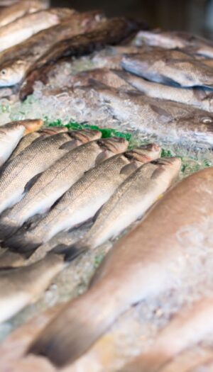 Filiera ittica, scatta la tracciabilit&agrave; digitale obbligatoria lungo tutta la catena del valore