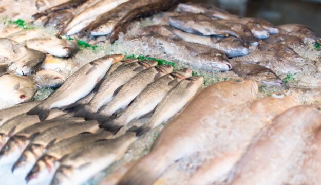 Filiera ittica, scatta la tracciabilit&agrave; digitale obbligatoria lungo tutta la catena del valore