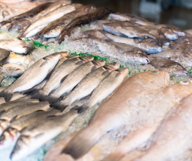 Filiera ittica, scatta la tracciabilit&agrave; digitale obbligatoria lungo tutta la catena del valore