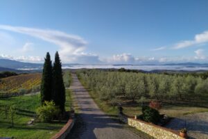 Dalla Maremma a Montalcino, La Faretra finalizza l&rsquo;acquisizione della cantina Querce Bettina