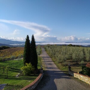 Dalla Maremma a Montalcino, La Faretra finalizza l&rsquo;acquisizione della cantina Querce Bettina