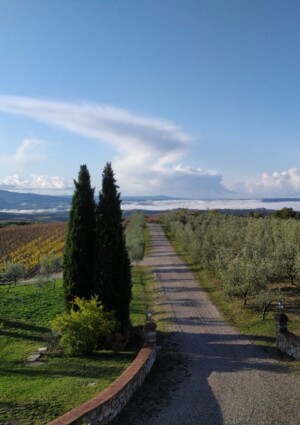 Dalla Maremma a Montalcino, La Faretra finalizza l&rsquo;acquisizione della cantina Querce Bettina