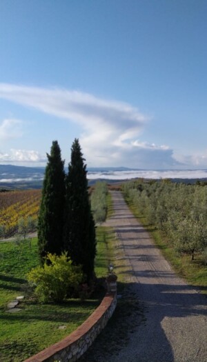 Dalla Maremma a Montalcino, La Faretra finalizza l&rsquo;acquisizione della cantina Querce Bettina