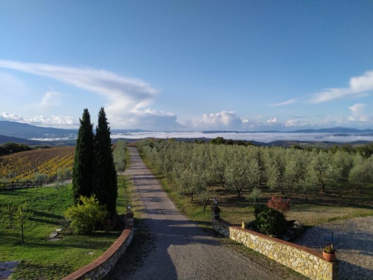 Querce Bettina, tra i vigneti di Brunello a Montalcino (credit: Facebook/Querce Bettina)