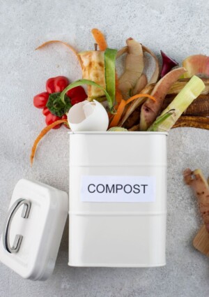 Dimmi quanti anni hai e ti dir&ograve; quanto butti: se in Italia il cibo che sprechiamo &egrave; questione di et&agrave;