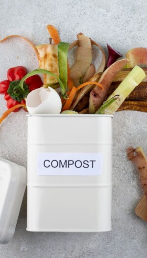 Dimmi quanti anni hai e ti dir&ograve; quanto butti: se in Italia il cibo che sprechiamo &egrave; questione di et&agrave;