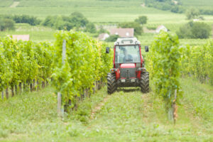 Agricoltura, dal Milleproroghe arriva la proroga per la revisione delle macchine agricole