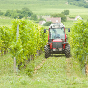 Agricoltura, dal Milleproroghe arriva la proroga per la revisione delle macchine agricole