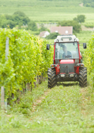 Agricoltura, dal Milleproroghe arriva la proroga per la revisione delle macchine agricole