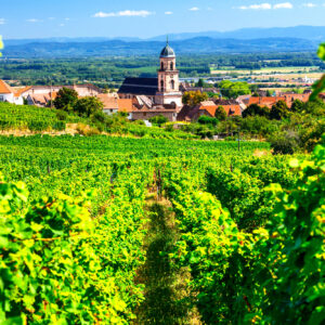 Nella governance territoriale deve decidere anche il mondo del vino: la proposta francese