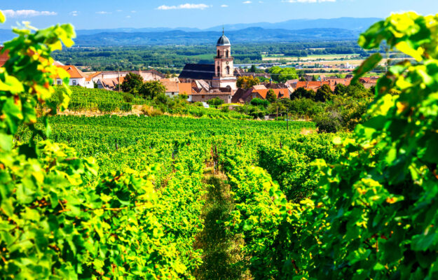 AGRICOLTORI, CAMBIAMENTO CLIMATICO, CITTADINI, FRANCIA, GOVERNANCE, PIANIFICAZIONE URBANISTICA, VINO FRANCESE, Mondo