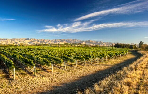 borse di studio, OIV, ORGANIZZAZIONE INTERNAZIONALE DELLA VIGNA E DEL VINO, RICERCA, Mondo
