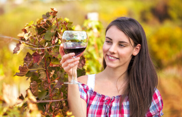 ANNIE GENEVARD, CHRISTOPHE HANSEN, COMMISSARIO AGRICOLTURA UE, CONSUMI, DISTILLAZIONE, FRANCEAGRIMER, FRANCIA, GIOVANI, MINISTRO DELL'AGRICOLTURA FRANCESE, VINO FRANCESE, Mondo