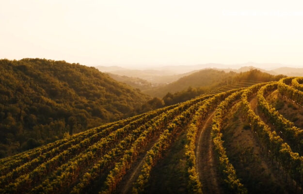 CAMPAGNA ISTITUZIONALE, COMUNICAZIONE, FRANCESCO LOLLOBRIGIDA, MINISTERO DELL'AGRICOLTURA, MINISTRO DELL'AGRICOLTURA, PROMOZIONE, RAI, Italia