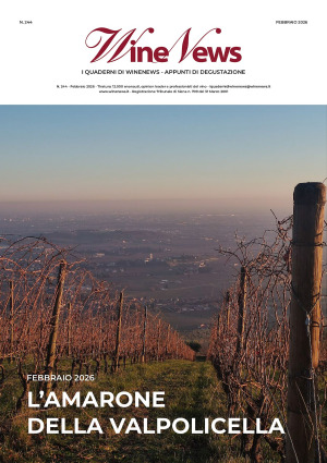 I Quaderni di WineNews - L'Amarone della Valpolicella