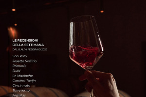 I Vini di WineNews - N. 401