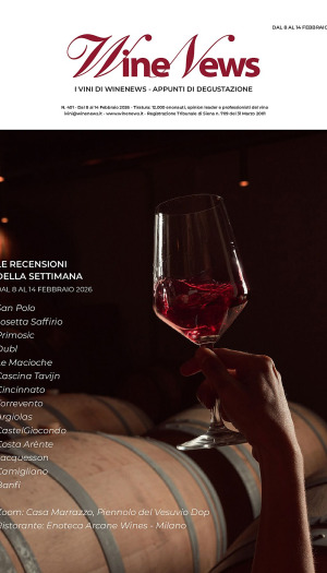I Vini di WineNews