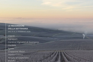 I Vini di WineNews - N. 402