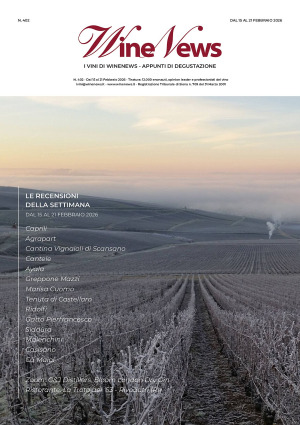 I Vini di WineNews - N. 402