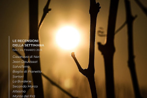 I Vini di WineNews - N. 404