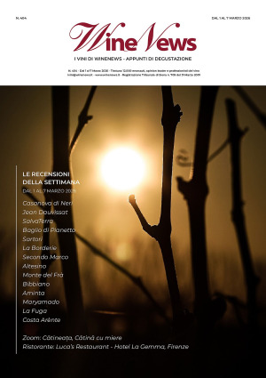 I Vini di WineNews - N. 404