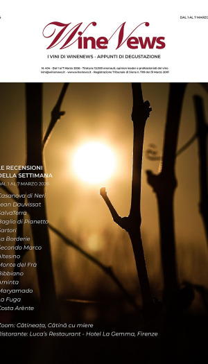 I Vini di WineNews