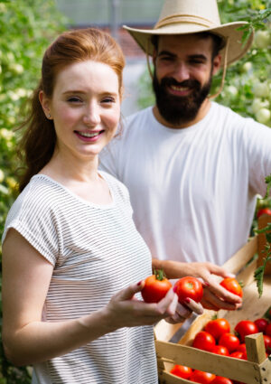 Nasce la &ldquo;Carta del Lavoro in Agricoltura&rdquo;, una dichiarazione condivisa per il futuro del settore