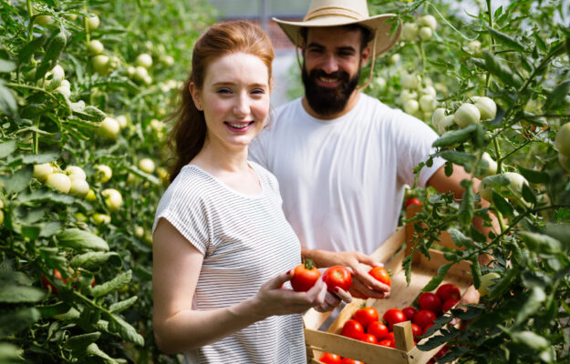 AGRICOLTURA, CARTA DEL LAVORO IN AGRICOLTURA, Confagricoltura, LAVORO, SIENA, Non Solo Vino