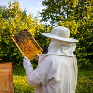 Verso un Consorzio nazionale per tutelare e valorizzare il miele italiano certificato