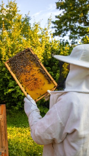 Verso un Consorzio nazionale per tutelare e valorizzare il miele italiano certificato