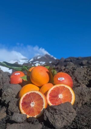 Arancia Rossa di Sicilia, il Consorzio chiede interventi urgenti contro una crisi senza precedenti