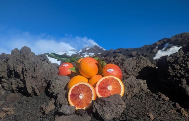 ARANCIA ROSSA DI SICILIA IGP, CONSORZIO ARANCIA ROSSA DI SICILIA IGP, FRANCESCO LOLLOBRIGIDA, INTERVENTI URGENTI, MINISTRO DELL'AGRICOLTURA, Non Solo Vino