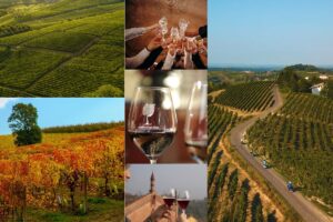 Il rilancio del Monferrato, con il vino come &ldquo;infrastruttura economica e sociale&rdquo;