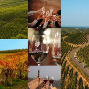 The relaunch of Monferrato with wine as &ldquo;economic and social infrastructure&rdquo;