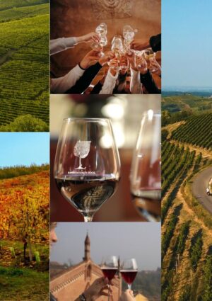 Il rilancio del Monferrato, con il vino come &ldquo;infrastruttura economica e sociale&rdquo;