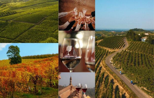 CONSORZIO ASTI DOCG, CONSORZIO BARBERA D'ASTI E VINI DEL MONFERRATO, CONSORZIO VINI D’ACQUI, MONFERRATO, PATRIMONIO UNESCO, Italia