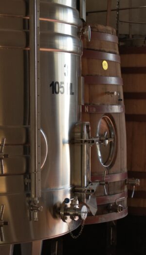 Non cambia il trend delle giacenze di cantina in Italia: a febbraio 2026 +5,8% sul 2025