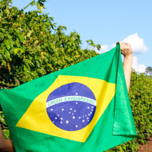 Brasile, il mercato del vino cresce trainato dagli spumanti e dall&rsquo;effetto premiumizzazione