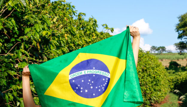 Brasile, il mercato del vino cresce trainato dagli spumanti e dall&rsquo;effetto premiumizzazione