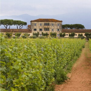 &ldquo;Chardonnay du Monde&rdquo;, nella &ldquo;Top 10&rdquo; del concorso enologico c&rsquo;&egrave; l&rsquo;Italia con Casale del Giglio