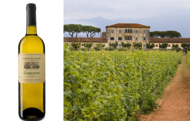 BORGOGNA, CANTINA GENTILI, CASALE DEL GIGLIO, CHARDONNAY, CHARDONNAY DU MONDE, VINI BIANCHI, Mondo