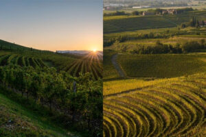 I Consorzi Collio e Colli Orientali del Friuli si uniscono in un&rsquo;Ati per la promozione reciproca