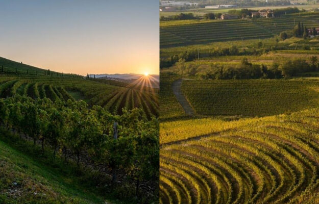 Collio and Colli Orientali del Friuli Consortia join forces in a temporary association for promotion