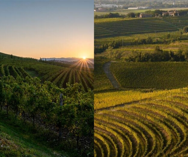 Collio and Colli Orientali del Friuli Consortia join forces in a temporary association for promotion