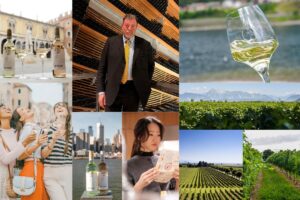 Pinot Grigio delle Venezie, tiene la Doc bianchista pi&ugrave; grande d&rsquo;Italia. Focus: trasparenza e valore