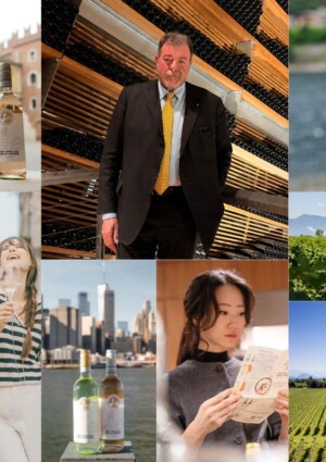 Pinot Grigio delle Venezie, tiene la Doc bianchista pi&ugrave; grande d&rsquo;Italia. Focus: trasparenza e valore